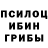Псилоцибиновые грибы ЛСД BlackRuz