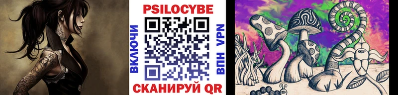 Галлюциногенные грибы Psilocybe  Купить где  Алексин 